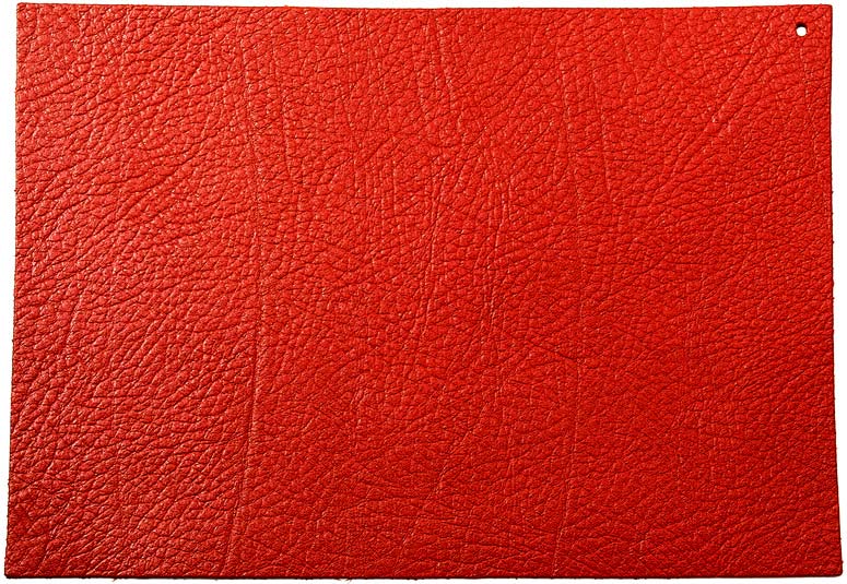 Printed Grain Leather